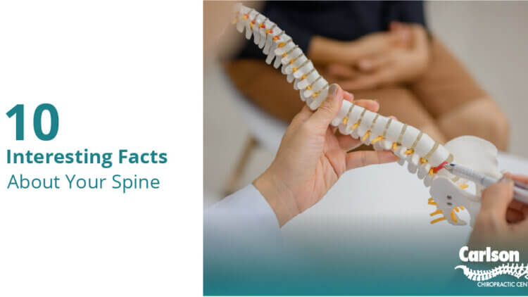 10 Interesting Facts About Your Spine