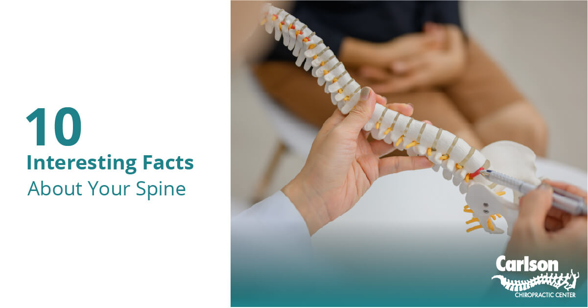 10 Interesting Facts About Your Spine