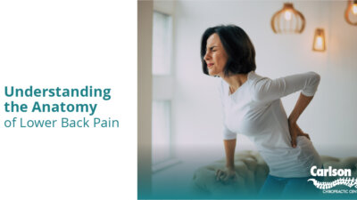 Understanding the Anatomy of Lower Back Pain