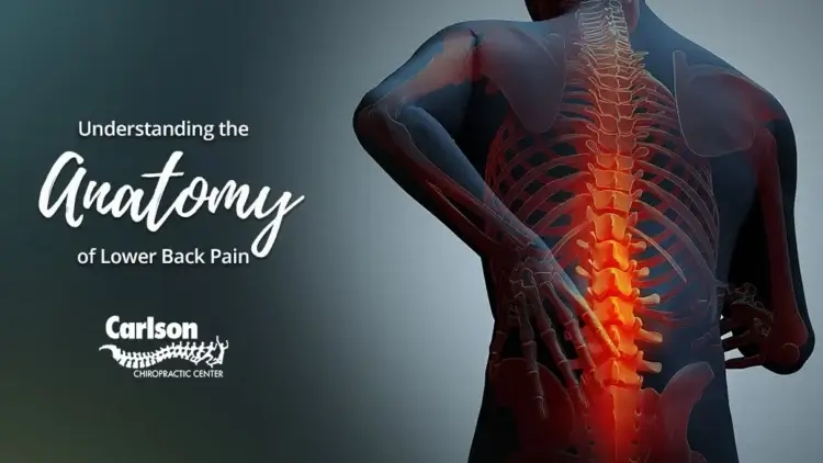 Understanding the Anatomy of Lower Back Pain