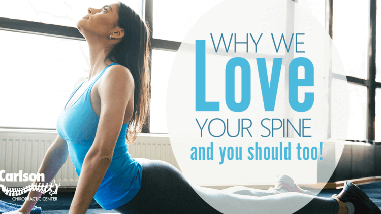 Why We Love Your Spine and You Should Too
